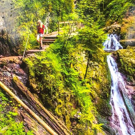 Ferienwohnung Schwarzwald Тодтмос Екстериор снимка