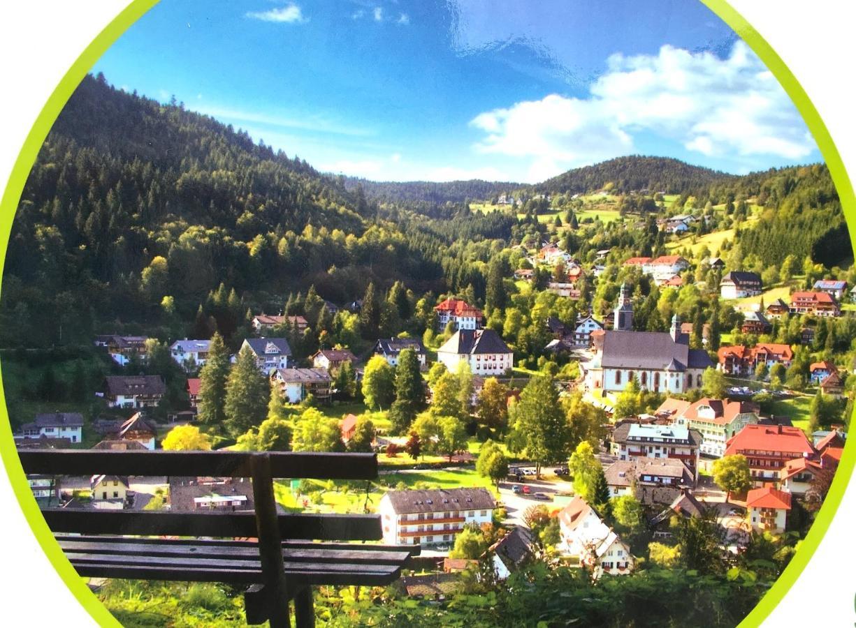 Ferienwohnung Schwarzwald Тодтмос Екстериор снимка